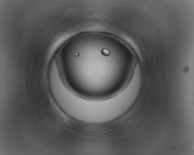 X0000094921464200712131504