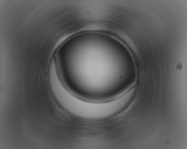 X0000094921465200712131504