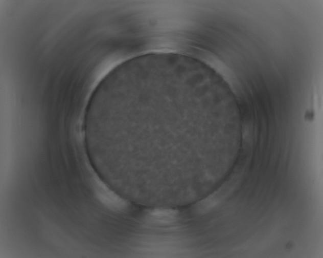 X0000094921466200712131504