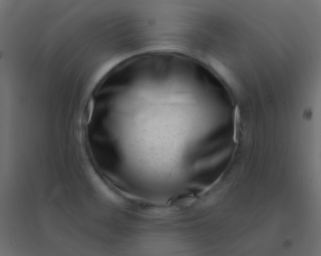 X0000094921468200712131504