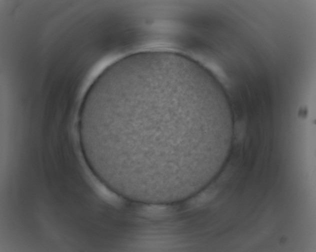 X0000094921470200712131504