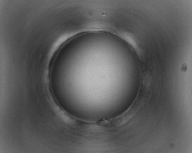 X0000094921472200712131504