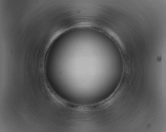 X0000094921473200712131504