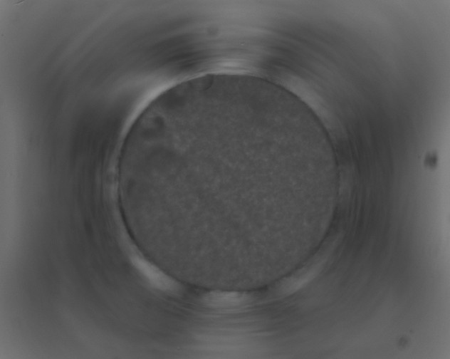 X0000094921474200712131504