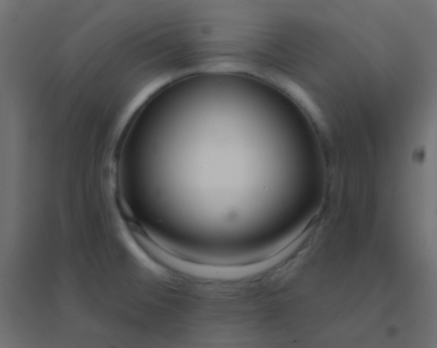 X0000094921476200712131504