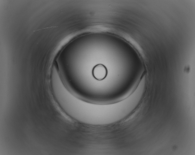 X0000094921477200712131504