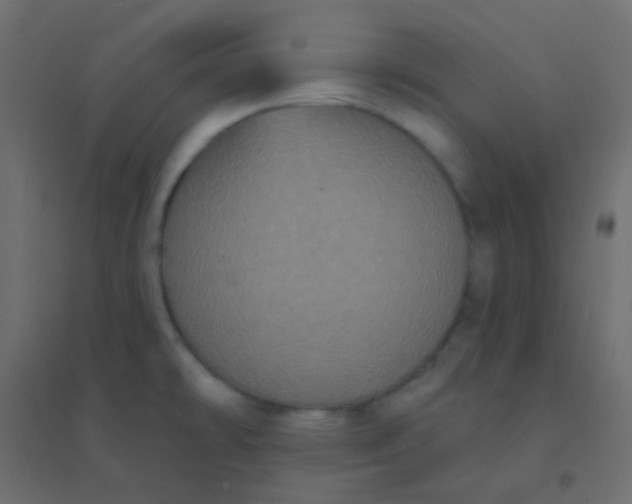 X0000094921478200712131504