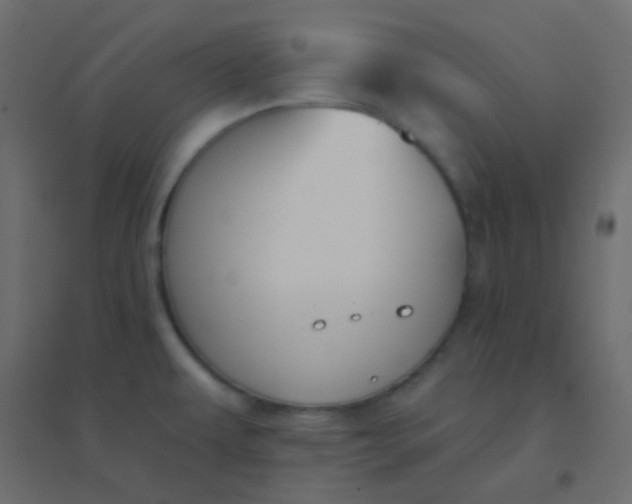 X0000094921479200712131504