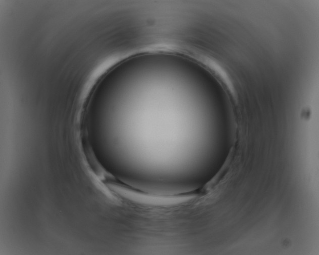 X0000094921480200712131504