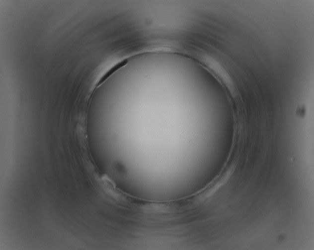 X0000094921481200712131504