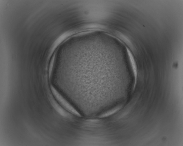 X0000094921482200712131504