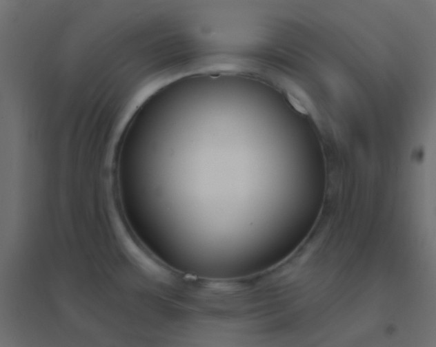 X0000094921483200712131504