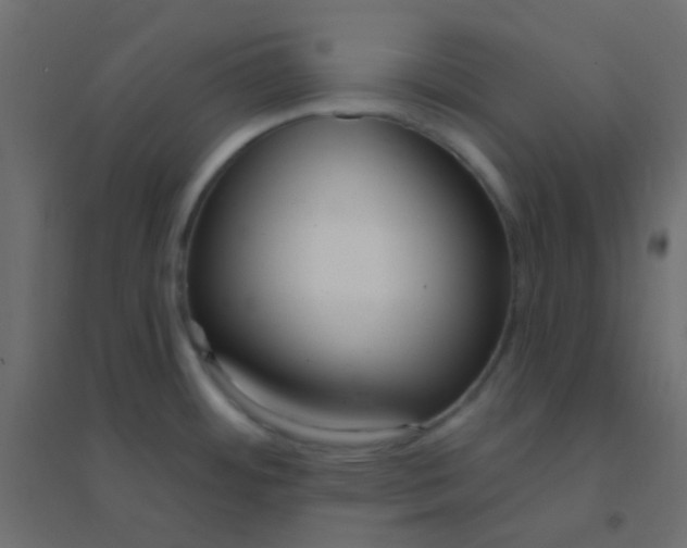 X0000094921484200712131504