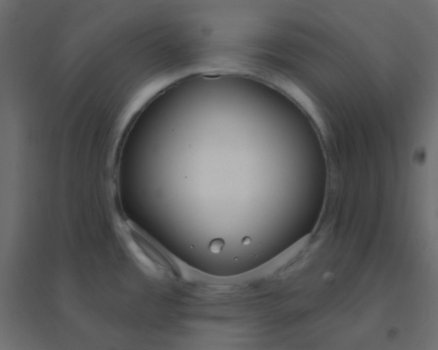 X0000094921485200712131504