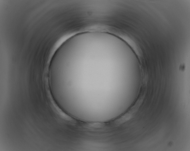 X0000094921486200712131504