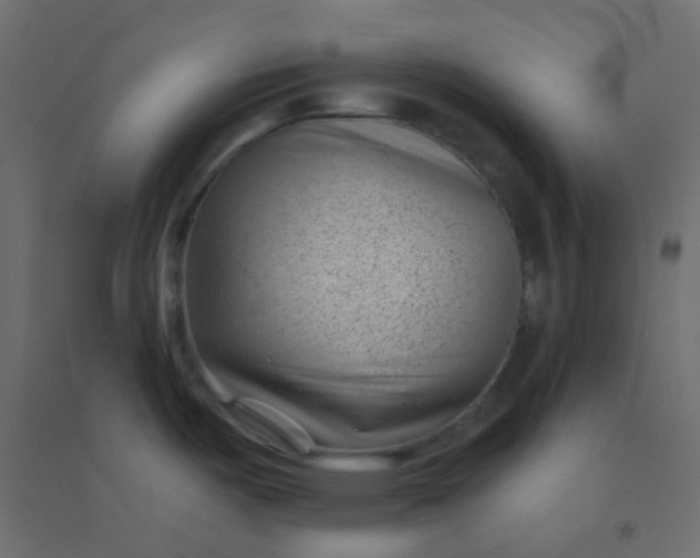 X0000094921487200712131504