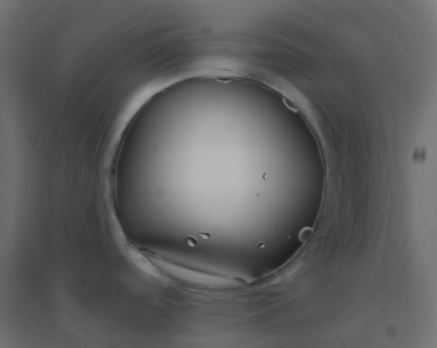 X0000094921488200712131503