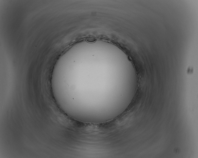 X0000094921489200712131503