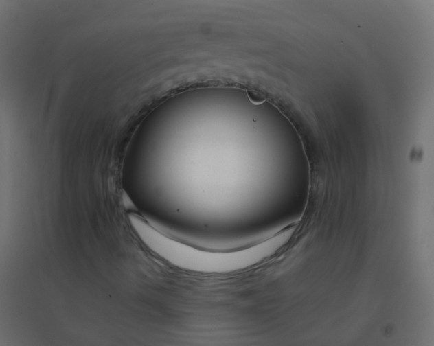 X0000094921490200712131503