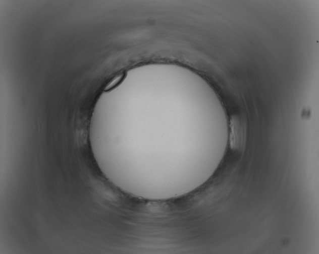 X0000094921491200712131503