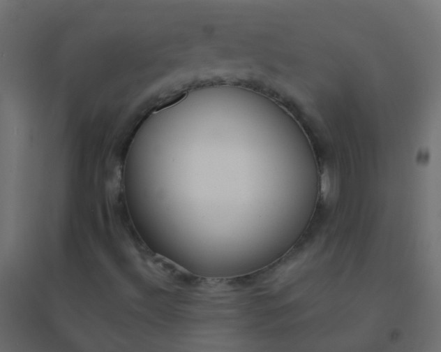 X0000094921492200712131503