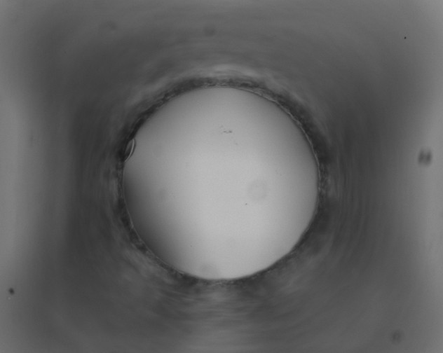 X0000094921493200712131503