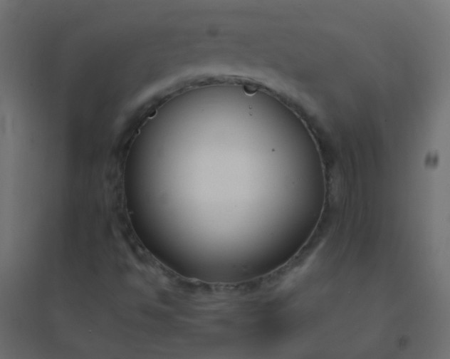 X0000094921494200712131503