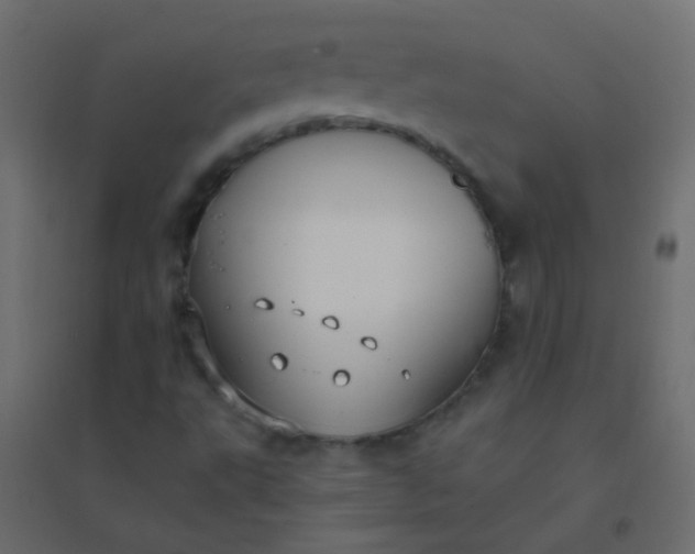 X0000094921495200712131503