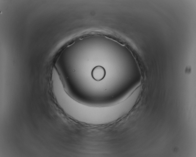 X0000094921496200712131503