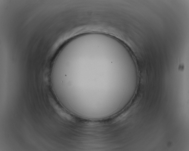 X0000094921499200712131503