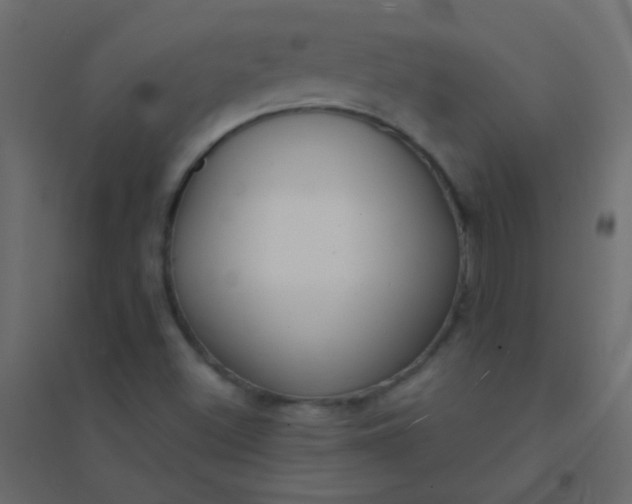 X0000094921500200712131503