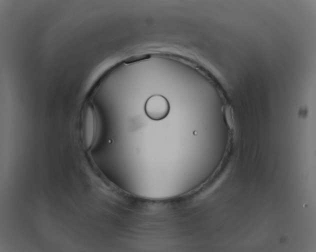 X0000094921501200712131503