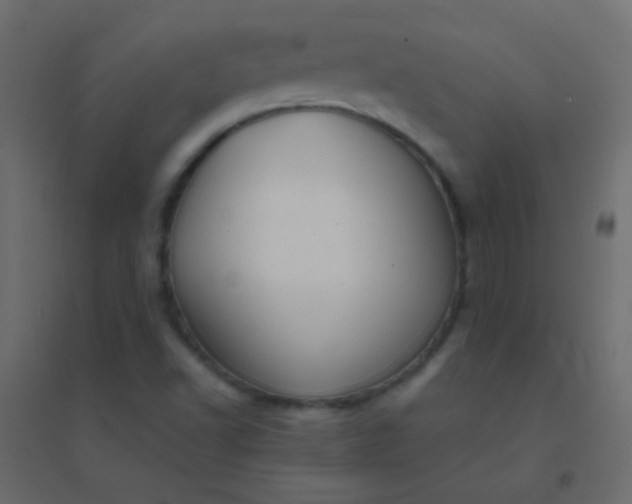 X0000094921502200712131503