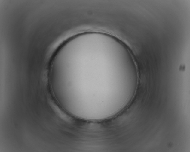 X0000094921503200712131503