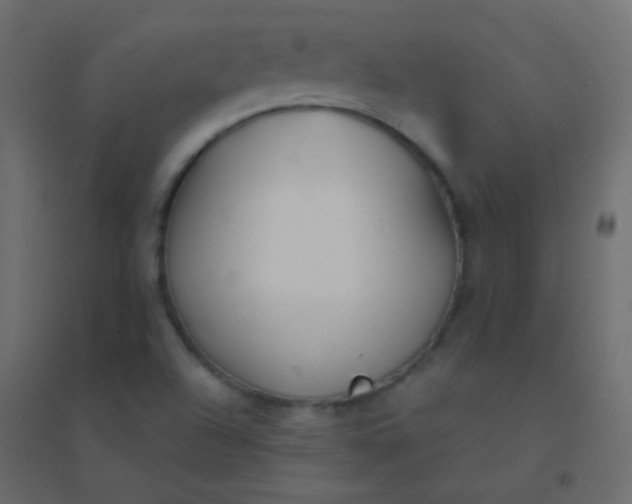 X0000094921504200712131503