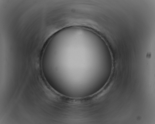 X0000094921505200712131503