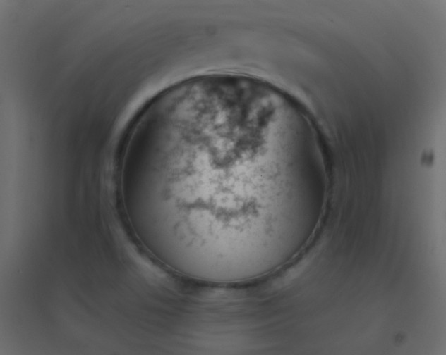 X0000094921506200712131503