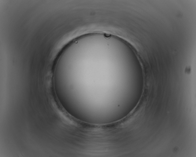 X0000094921507200712131503