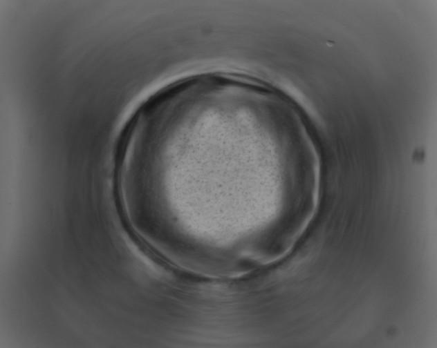 X0000094921508200712131503