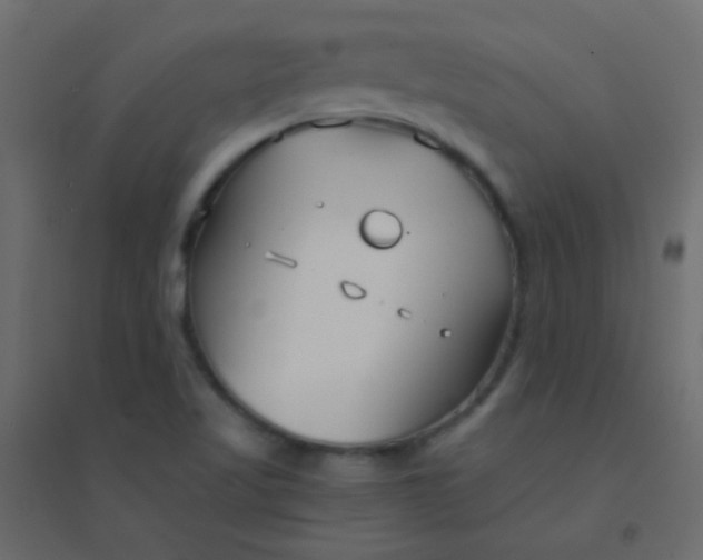 X0000094921509200712131503