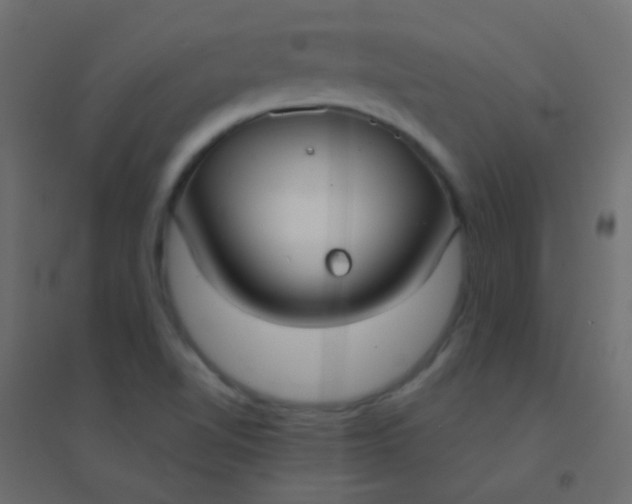 X0000094921510200712131503