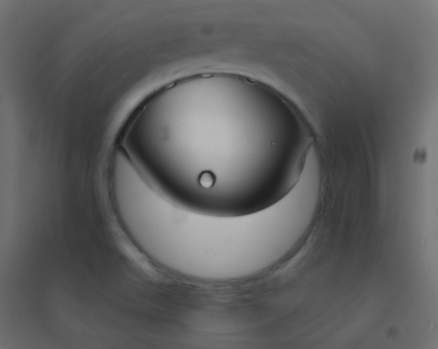 X0000094921511200712131503