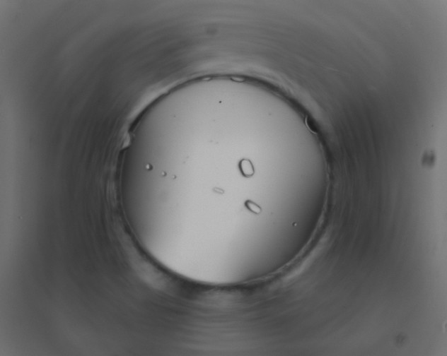 X0000094921513200712131503