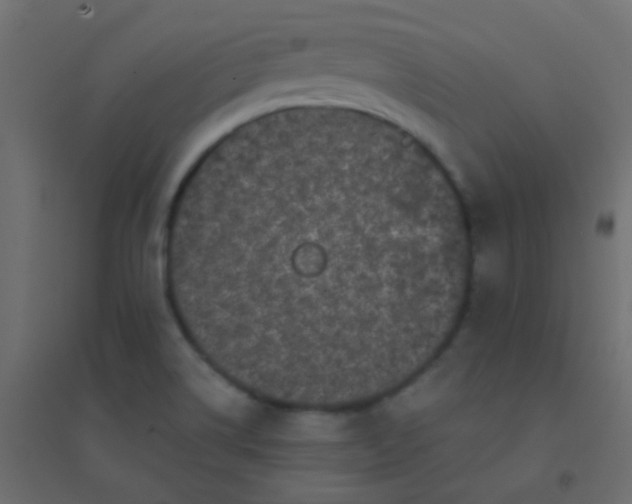 X0000094921514200712131503