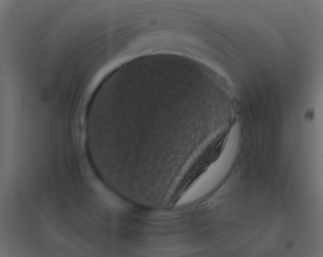 X0000094921515200712131503