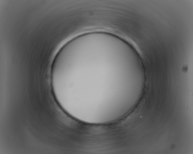 X0000094921516200712131503