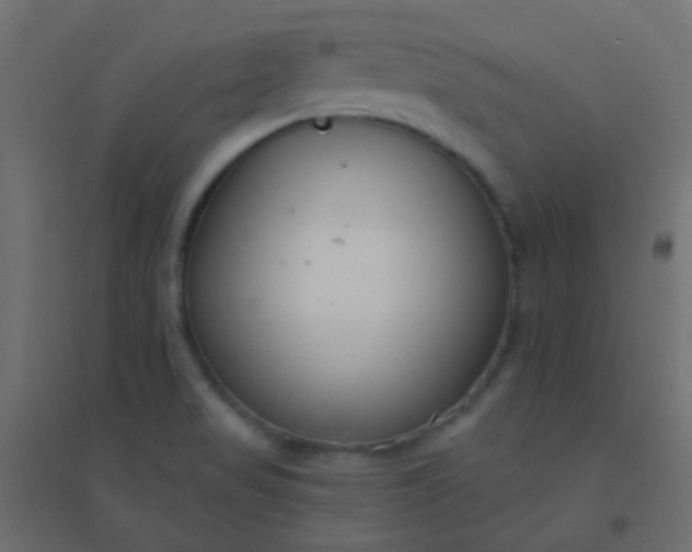 X0000094921517200712131503