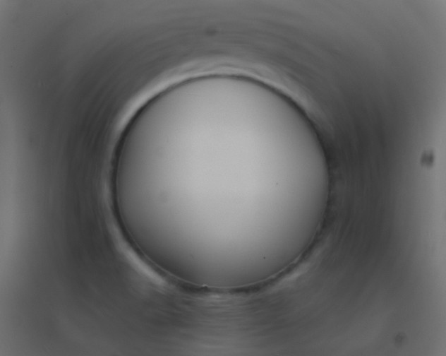 X0000094921518200712131503