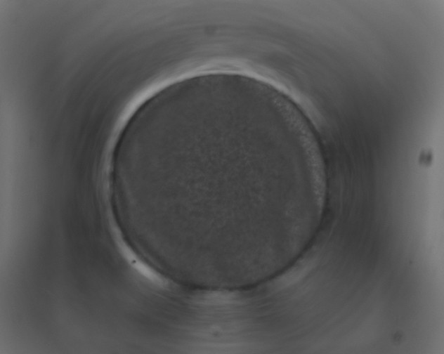 X0000094921519200712131503