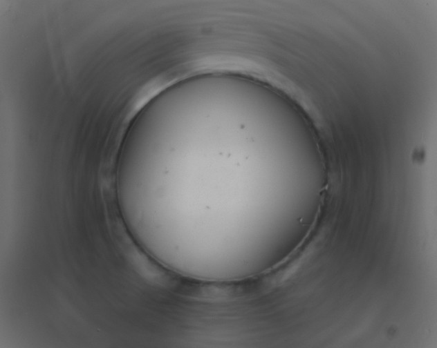 X0000094921521200712131503